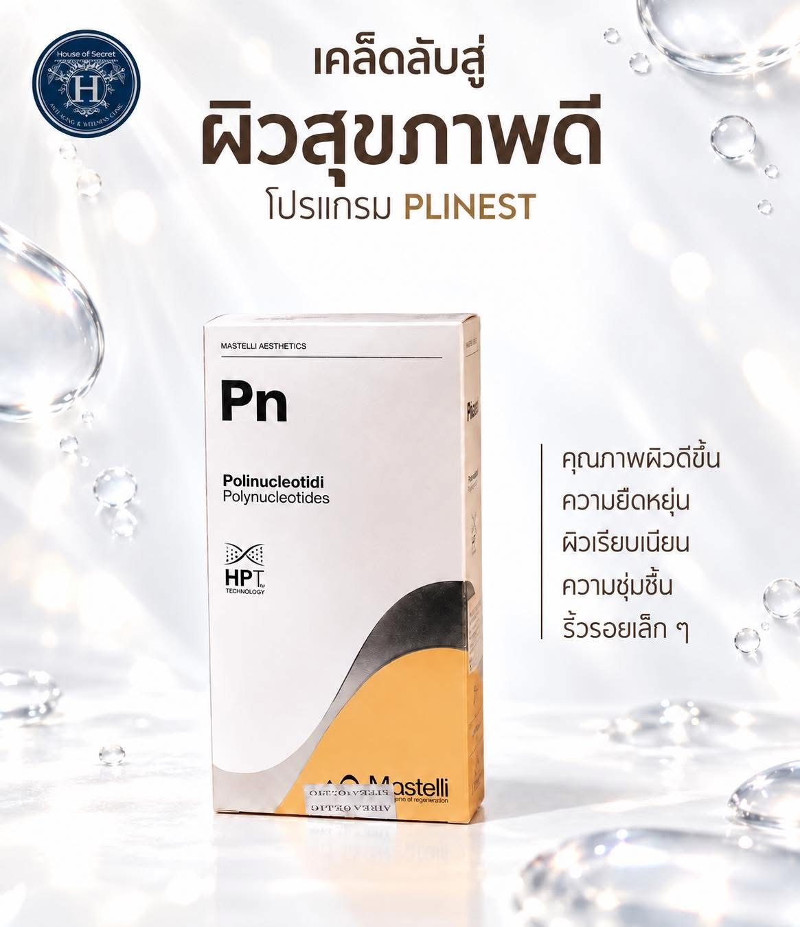 รู้จัก โปรแกรม PLINEST จาก Mastelli ประเทศอิตาลี